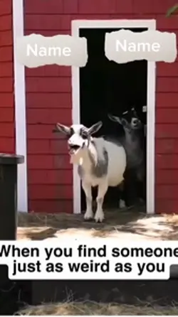 Weird as you