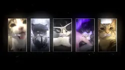 5人用