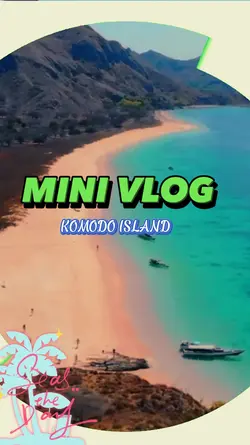 11. VLOG