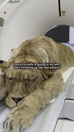exotic vet 🙇‍♀️🙇‍♀️