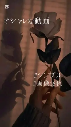 オシャレ