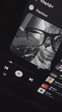 música Spotify 