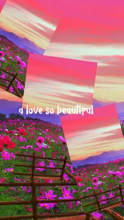 A love so beautiful