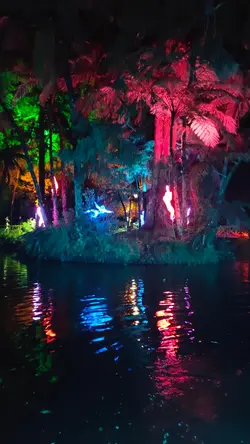 Lights Festival