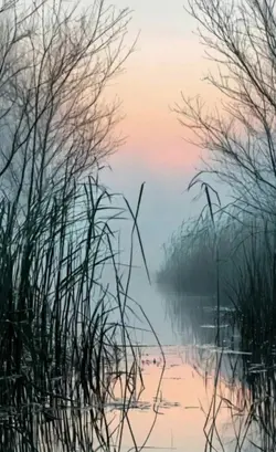 Молли 