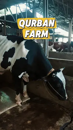 Qurban farm