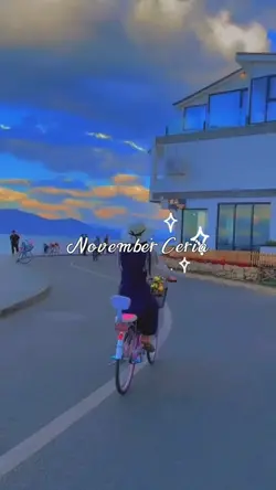 Vlog