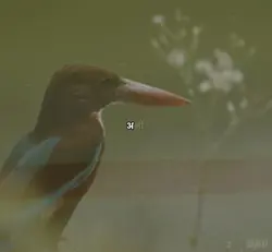 Abhi na jao chhodkar