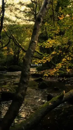 nature