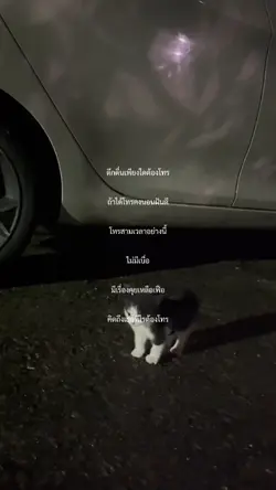ดึกดื่นเพียงใดต้องโท