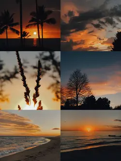 6photo