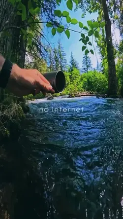 No Signal🚫