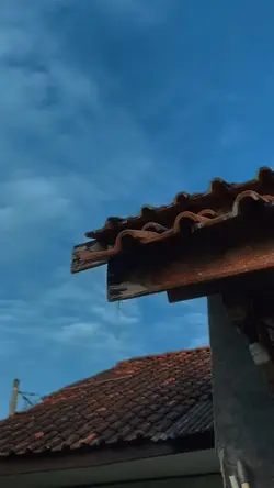 CINEMATIC 3 CLIP