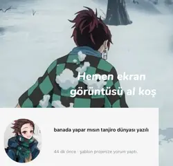 Ekran görüntüsü al 