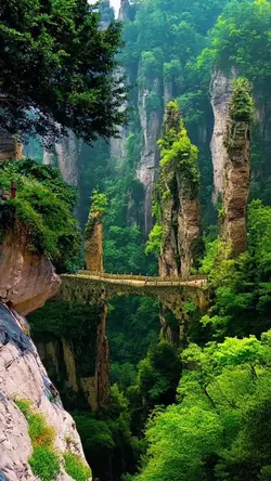 Nature lovers 🌸