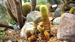Plant edit template 