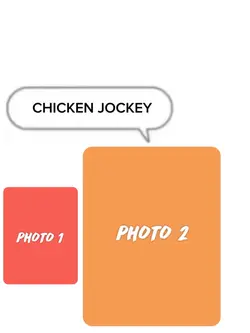 APT X CHICKEN JOCKEY