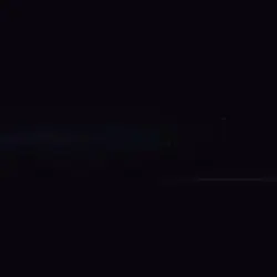 Why did you do it