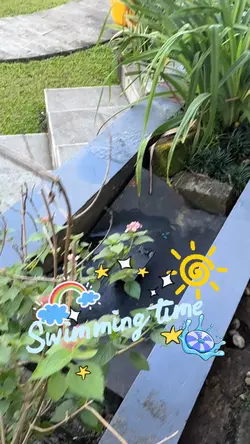 Swimming time