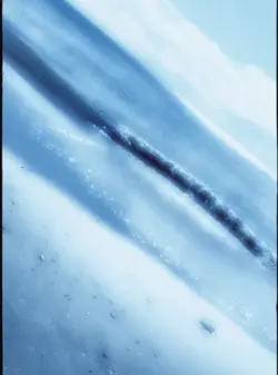 貴方と共に｜雰囲気