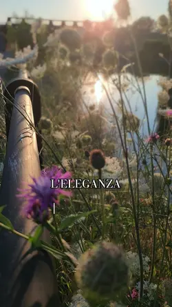 eleganza