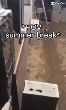 Summer 