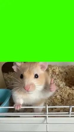 hamster approved