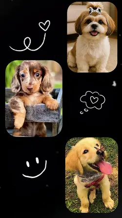love dogs