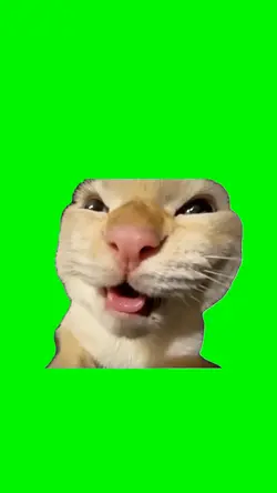 Laughing cat