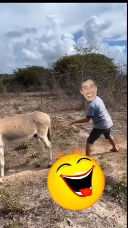 Troll bò