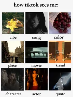 how tiktok sees me