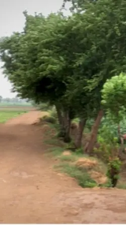 ٹھنڈیاں ہواواں🌪️😍