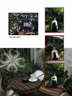 feed ideas