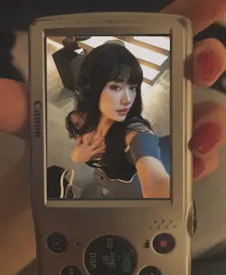 frame camera 