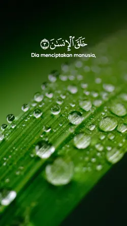 Surah Ar Rahman