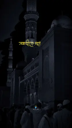 Islamic Contact 