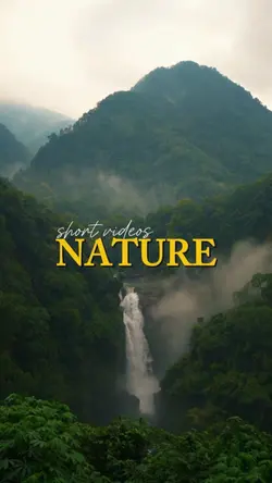 cinematic nature