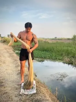 Looking for fish