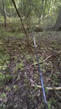 quick fish trip
