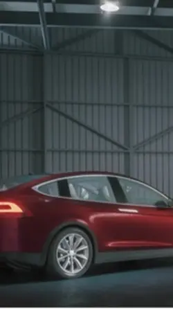 🖕Tesla 