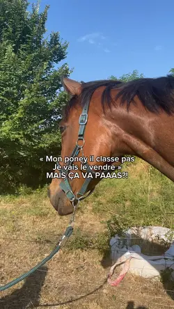 MAIS CV PA