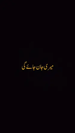 میری یہ لاسٹ ویڈیوہے