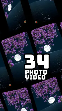 34 clip or photo