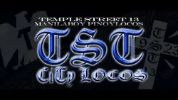 TST 13