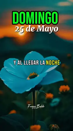 Domingo 25 de Mayo