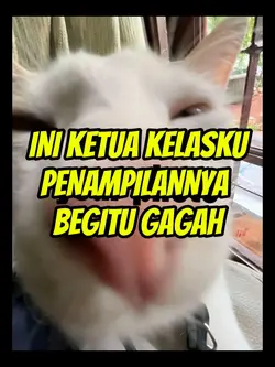 INI KETUA KELAS KU