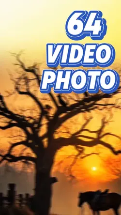 64 video or photo 