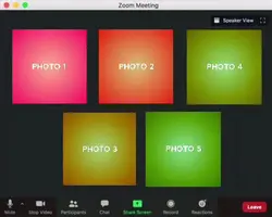 Character Zoom Call
