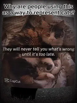 :/