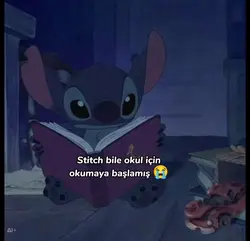 1 gün sonra 